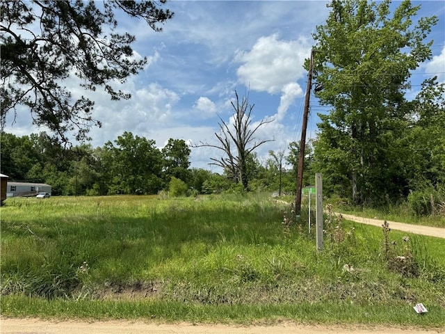 Roseland Ave, Roseland, LA 70456 - photo 3