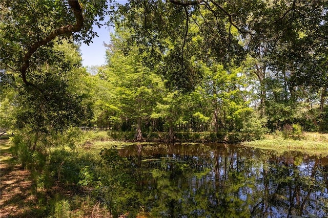 20408 Smith Rd, Covington, LA 70435 - view of tree filled area with a water view