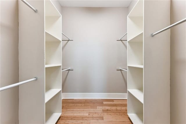 spacious closet featuring wood finished floors
