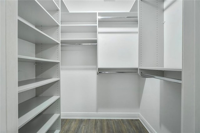 1121 Evergreen Dr, Gretna, LA 70053 - walk in closet with dark wood-style flooring