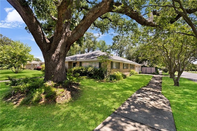 ranch-style house featuring a front lawn