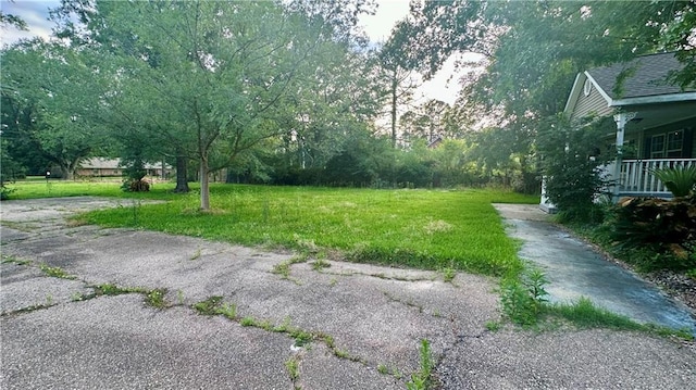 view of green lawn