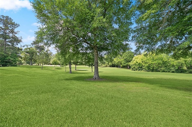 474 Trailhead Dr, Abita Springs, LA 70420 - view of grassy yard featuring view of wooded area