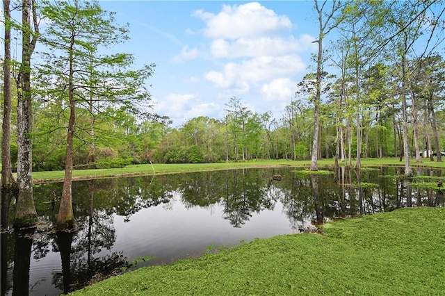 740 Double J Rd, Covington, LA 70433 - water view with a heavily wooded area