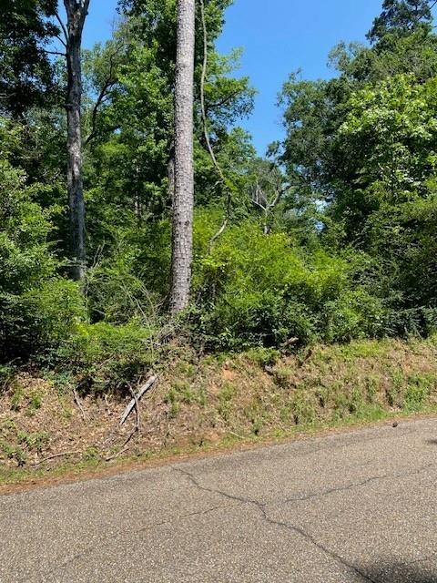 N River Rd, Kentwood, LA 70444