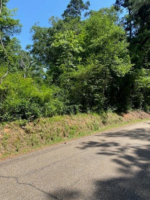 N River Rd, Kentwood, LA 70444
