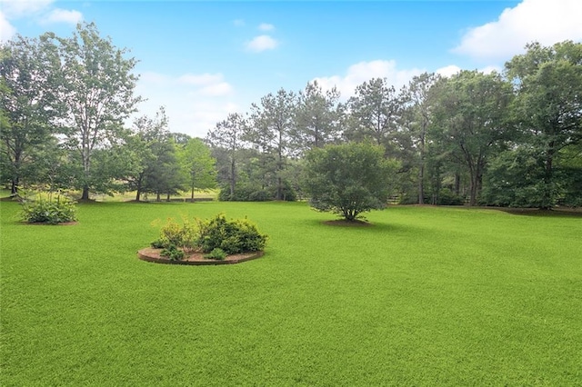 1203 W Cherry Hill Loop, Folsom, LA 70437 - view of grassy yard with view of wooded area