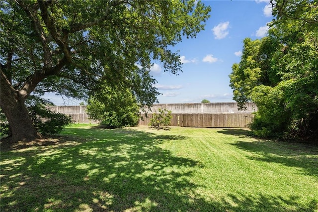 5139 Pratt Dr, New Orleans, LA 70122 - view of yard