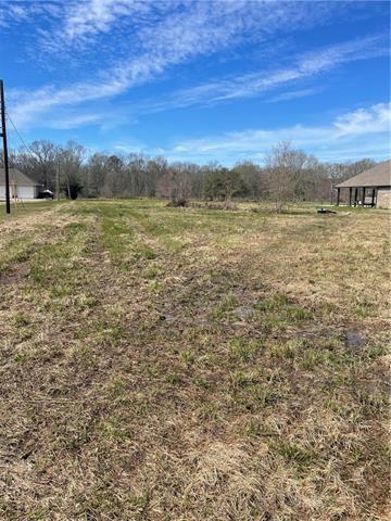 26411 Clyde Blount Rd, Livingston, LA 70754 - photo 1