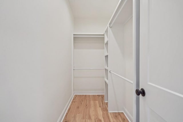 342 W Ave, Harahan, LA 70123 - walk in closet with light wood-type flooring