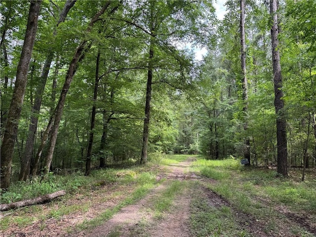 2550 Rosemary Rd, Terry, MS 39170