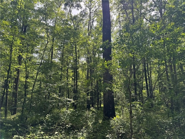 2550 Rosemary Rd, Terry, MS 39170