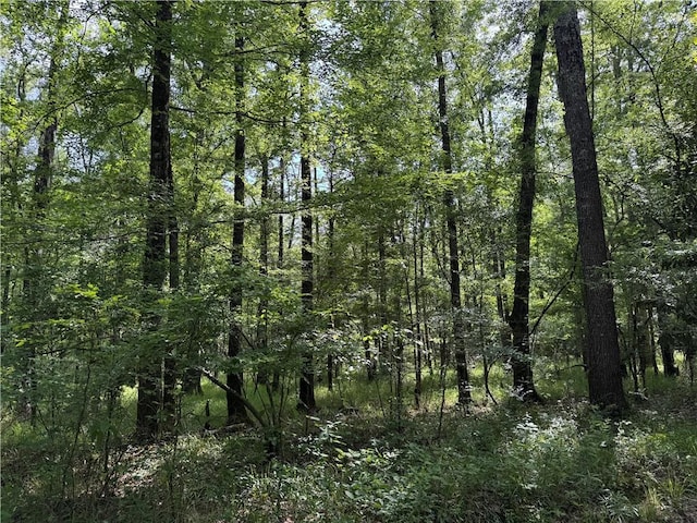 2550 Rosemary Rd, Terry, MS 39170
