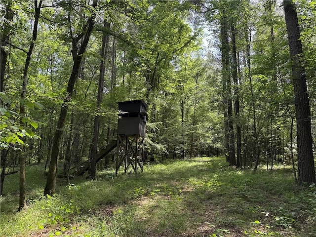2550 Rosemary Rd, Terry, MS 39170