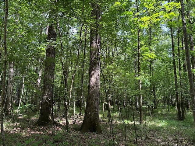 2550 Rosemary Rd, Terry, MS 39170