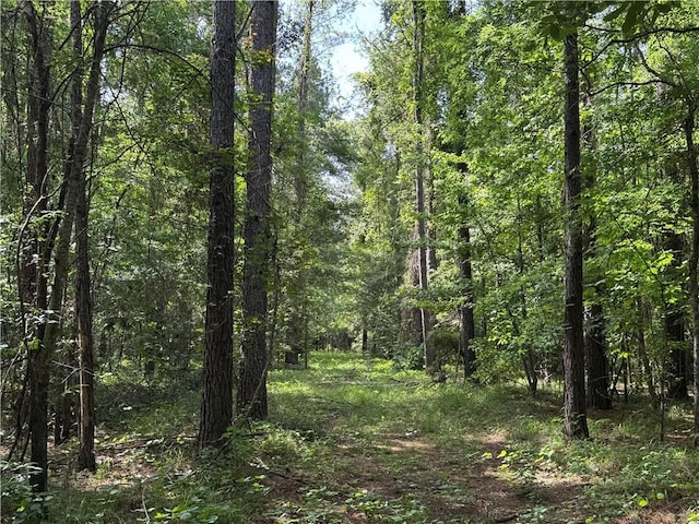 2550 Rosemary Rd, Terry, MS 39170