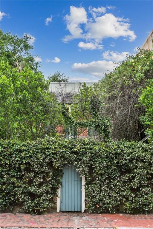 538 Governor Nicholls St, New Orleans, LA 70116 - view of yard
