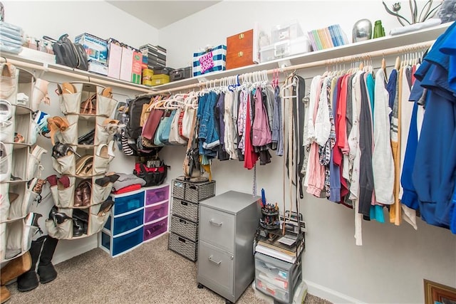 3663 Trestle Crossing Ave, Slidell, LA 70461 - walk in closet featuring carpet