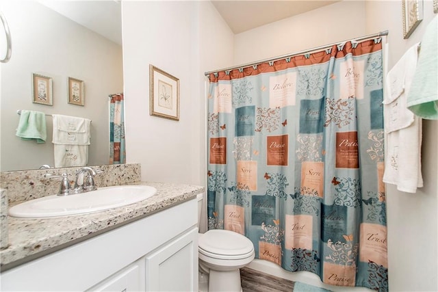 3663 Trestle Crossing Ave, Slidell, LA 70461 - bathroom with vanity, toilet, wood finished floors, and a shower with shower curtain