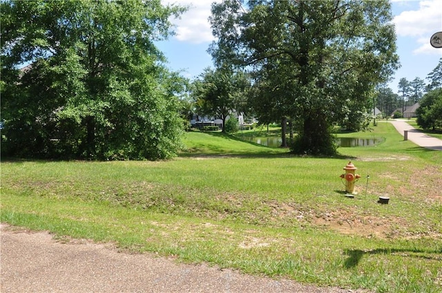 100 Bald Eagle Dr, Abita Springs, LA 70420