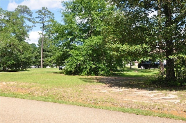 100 Bald Eagle Dr, Abita Springs, LA 70420