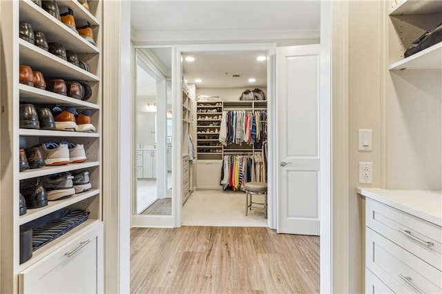 232 Lake Marina Ave Unit 10-D, New Orleans, LA 70124 - walk in closet with light wood-style flooring