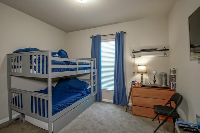 bedroom featuring multiple windows, carpet flooring, and baseboards