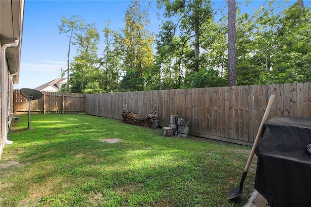 view of yard