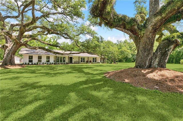 18819 Sisters Rd, Ponchatoula, LA 70454 - photo 2