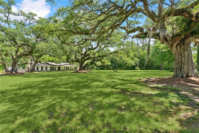 18819 Sisters Rd, Ponchatoula, LA 70454 - photo 3