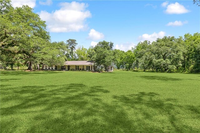 18819 Sisters Rd, Ponchatoula, LA 70454 - photo 4