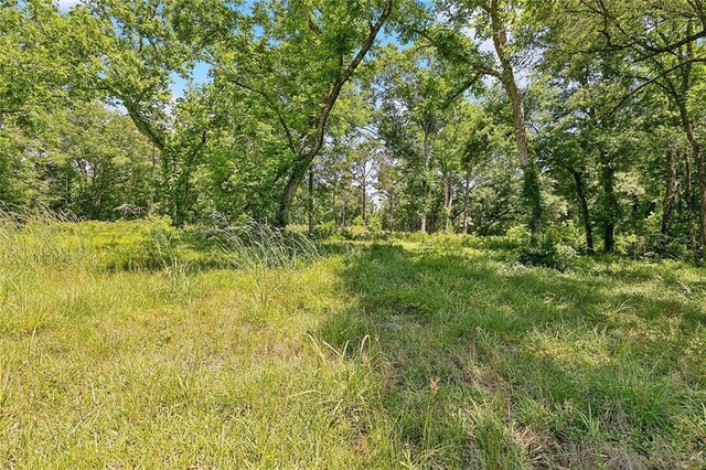 18819 Sisters Rd, Ponchatoula, LA 70454 - photo 22
