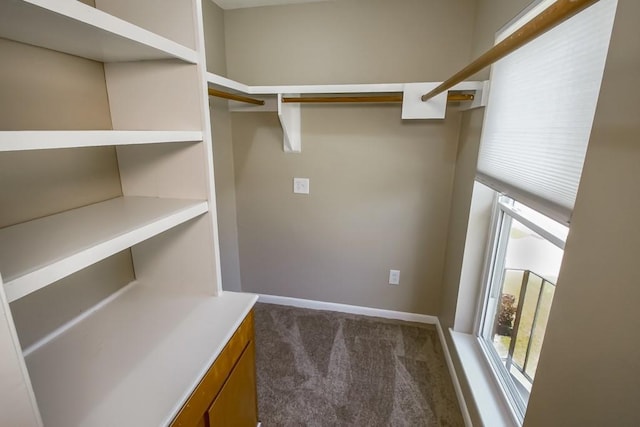5831 Durbridge Dr, New Orleans, LA 70131 - spacious closet featuring carpet floors