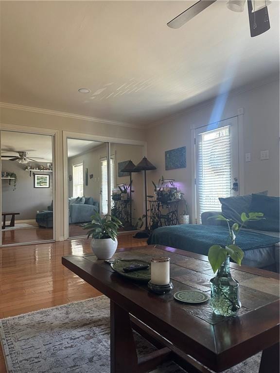 3725 Marion St Unit 5, Metairie, LA 70002 - living area with ceiling fan, plenty of natural light, wood finished floors, and crown molding