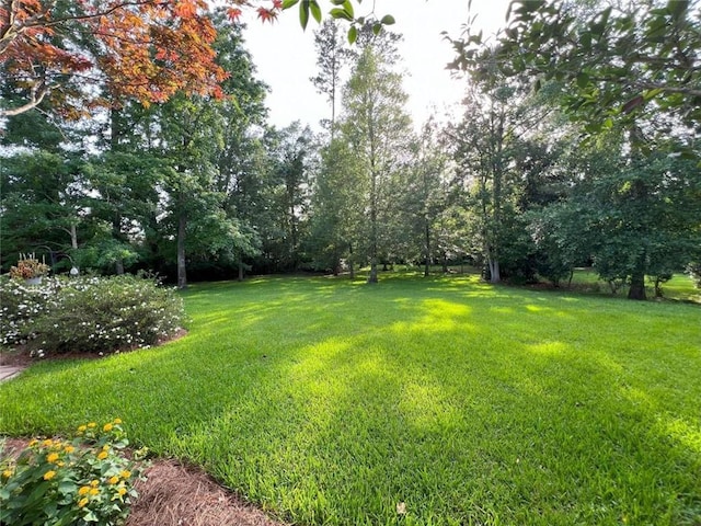 7 Spanish Moss Ct, Mandeville, LA 70471 - view of grassy yard