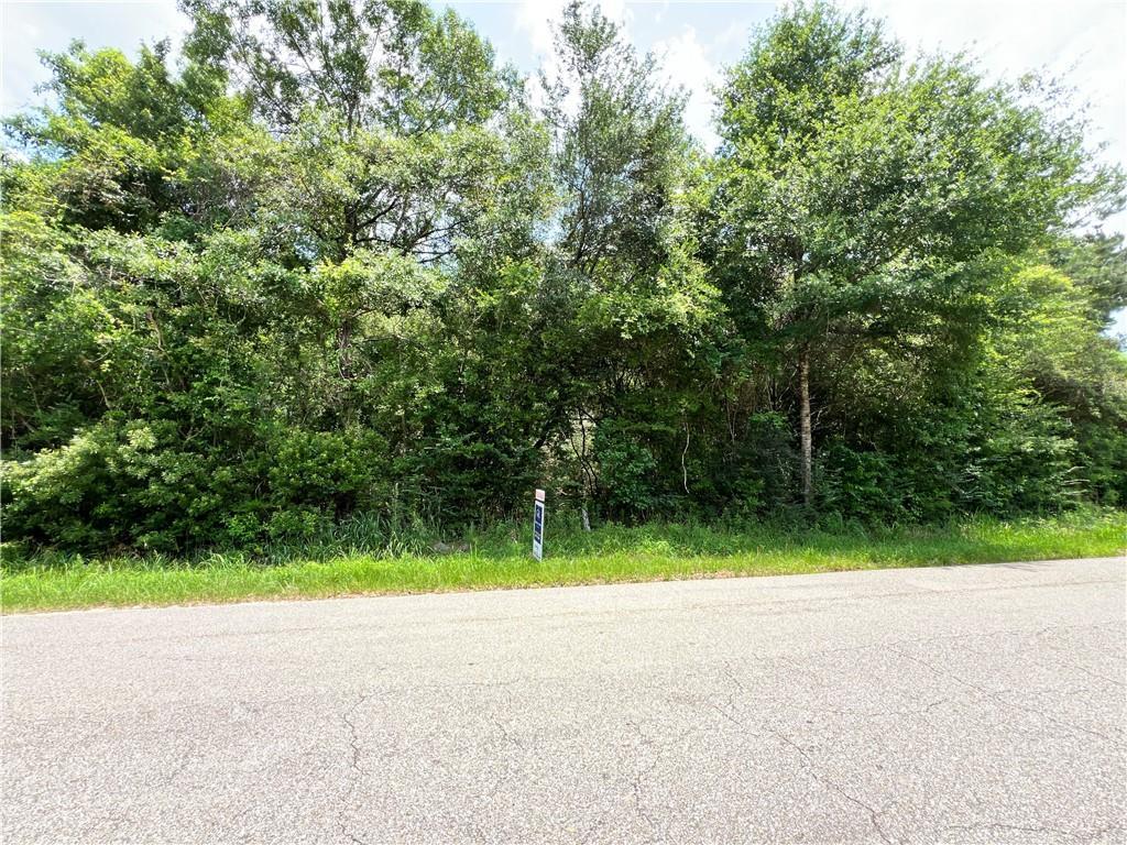 Tantela Ranch Rd, Covington, LA 70435