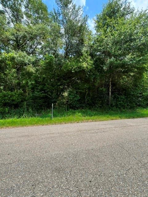 Tantela Ranch Rd, Covington, LA 70435