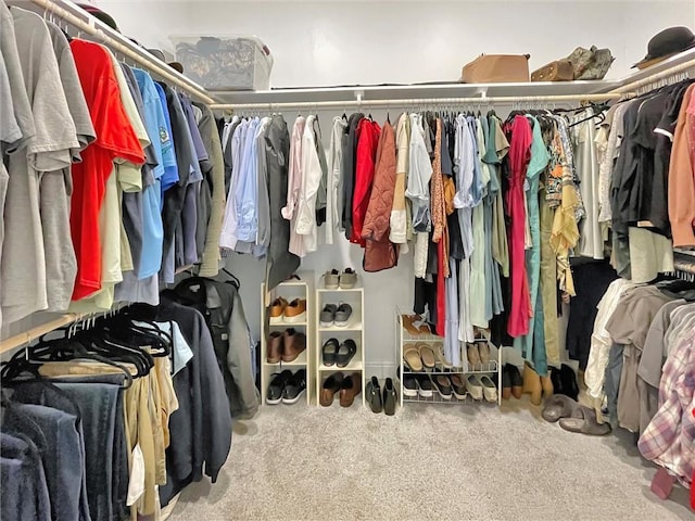 629 High Ridge Loop, Slidell, LA 70458 - walk in closet with carpet floors