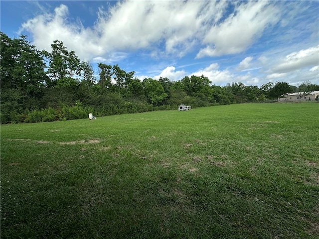 24473 Timbercrest Dr, Franklinton, LA 70438 - view of green lawn
