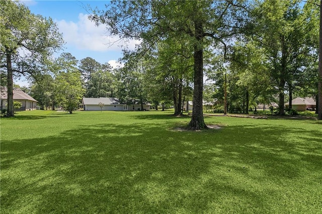 41357 Countryside Ln, Hammond, LA 70403 - view of green lawn