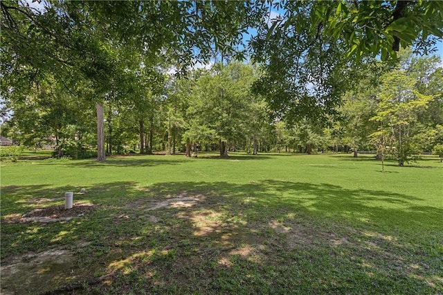 41357 Countryside Ln, Hammond, LA 70403 - view of grassy yard with view of scattered trees