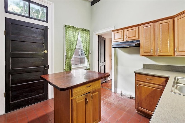724 Constantinople St, New Orleans, LA 70115 - kitchen featuring under cabinet range hood, dark tile patterned floors, plenty of natural light, and a high ceiling