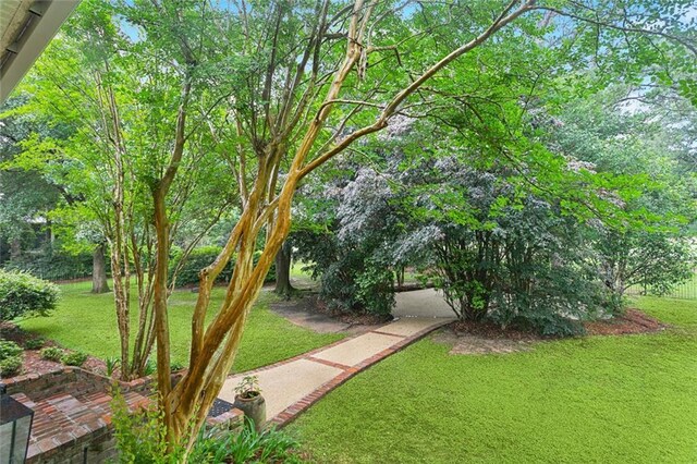 478 Trailhead Dr, Abita Springs, LA 70420 - photo 35