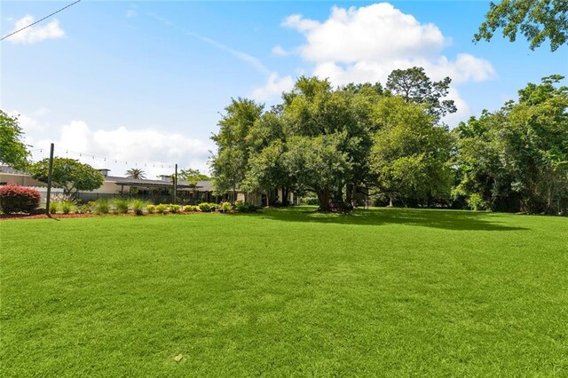 1201 N General Pershing St, Hammond, LA 70401 - view of green lawn