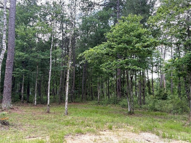 82188 Charles Kelly Rd, Bush, LA 70431 - view of tree filled area