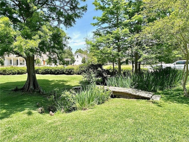 4 Riverdale Dr, Covington, LA 70433 - view of green lawn