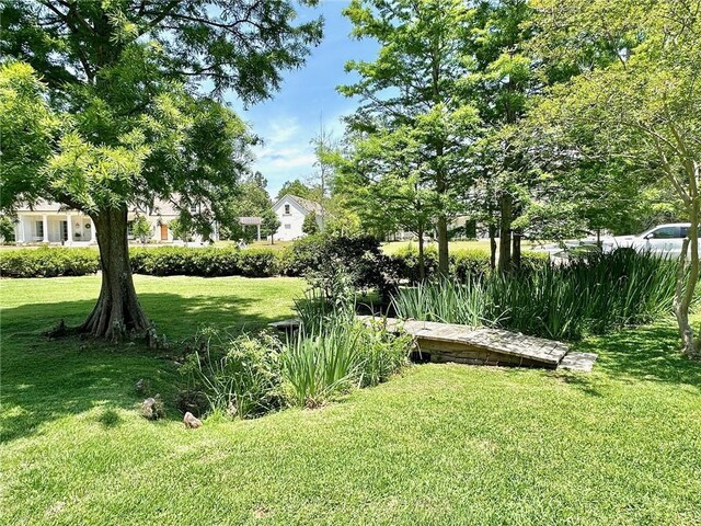4 Riverdale Dr, Covington, LA 70433 - view of green lawn