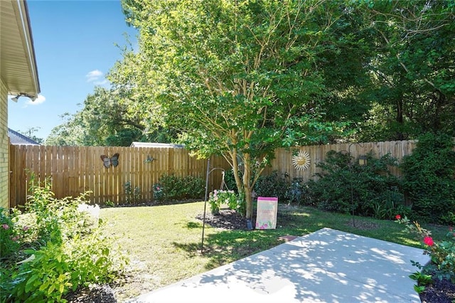 view of yard with a patio area