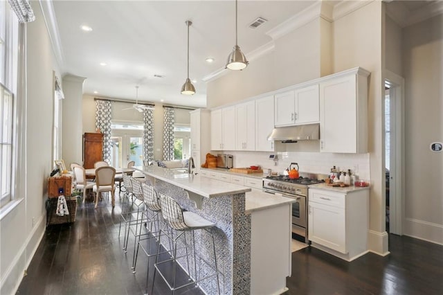 1807 Jena St, New Orleans, LA 70115 - kitchen featuring stainless steel stove, ornamental molding, under cabinet range hood, baseboards, and backsplash