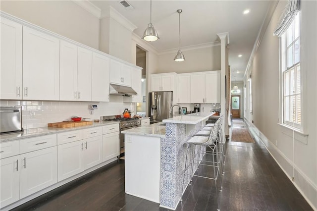 1807 Jena St, New Orleans, LA 70115 - kitchen featuring appliances with stainless steel finishes, crown molding, under cabinet range hood, dark wood-style flooring, and white cabinets